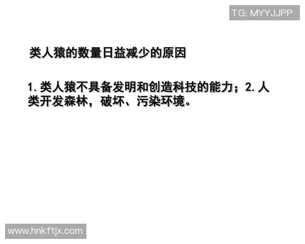 橄榄球运动的起源与发展以及全球影响力的深刻剖析 橄榄球运动的起源与发展以及全球影响力的深刻剖析